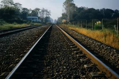 Track network perspective